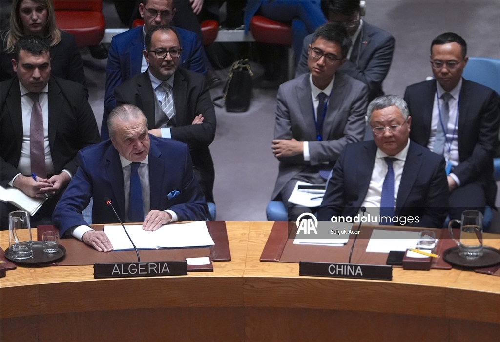 СБ ООН принял предложенную США резолюцию о создании «Международных сил стабилизации» в Газе