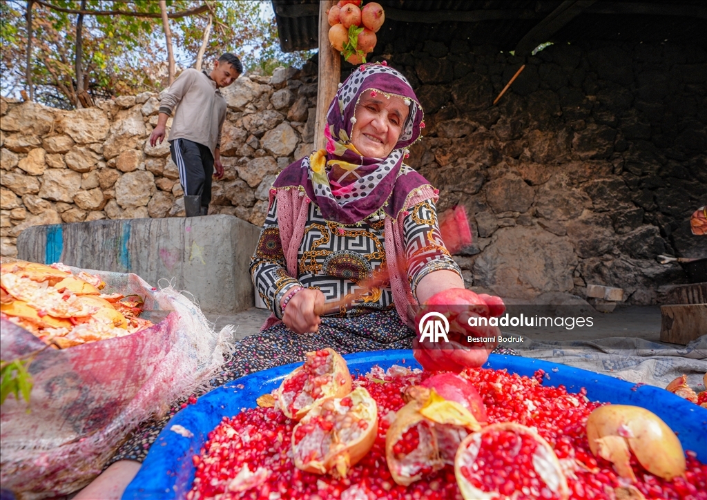 Jinên Diyarbekirî dest bi çêkirina tirşê hinaran kirin