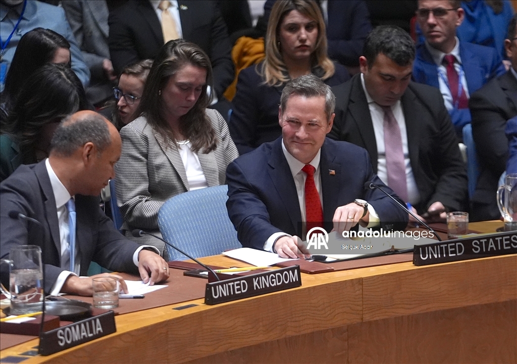 СБ ООН принял предложенную США резолюцию о создании «Международных сил стабилизации» в Газе