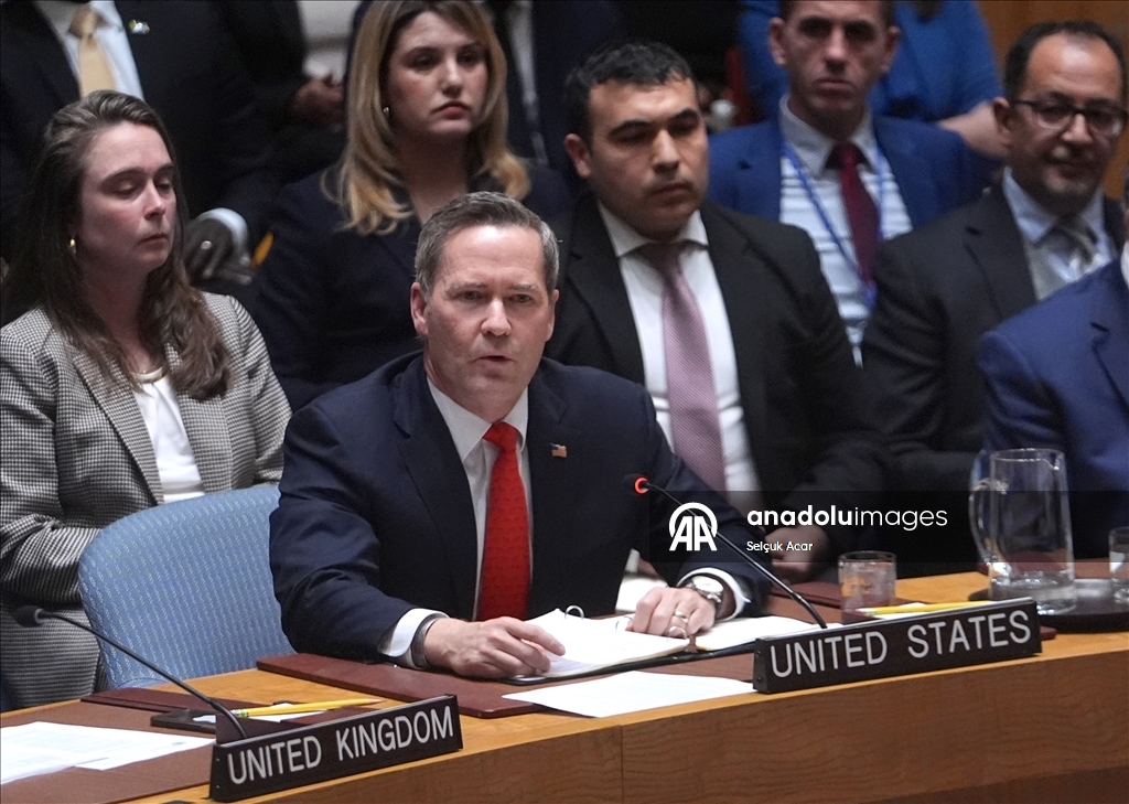 СБ ООН принял предложенную США резолюцию о создании «Международных сил стабилизации» в Газе