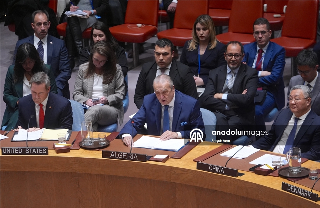 СБ ООН принял предложенную США резолюцию о создании «Международных сил стабилизации» в Газе