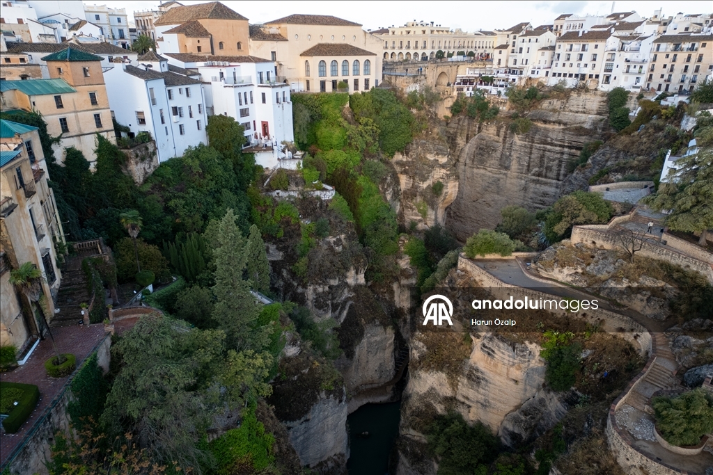 Pireya balkêş ya li Endulusê
