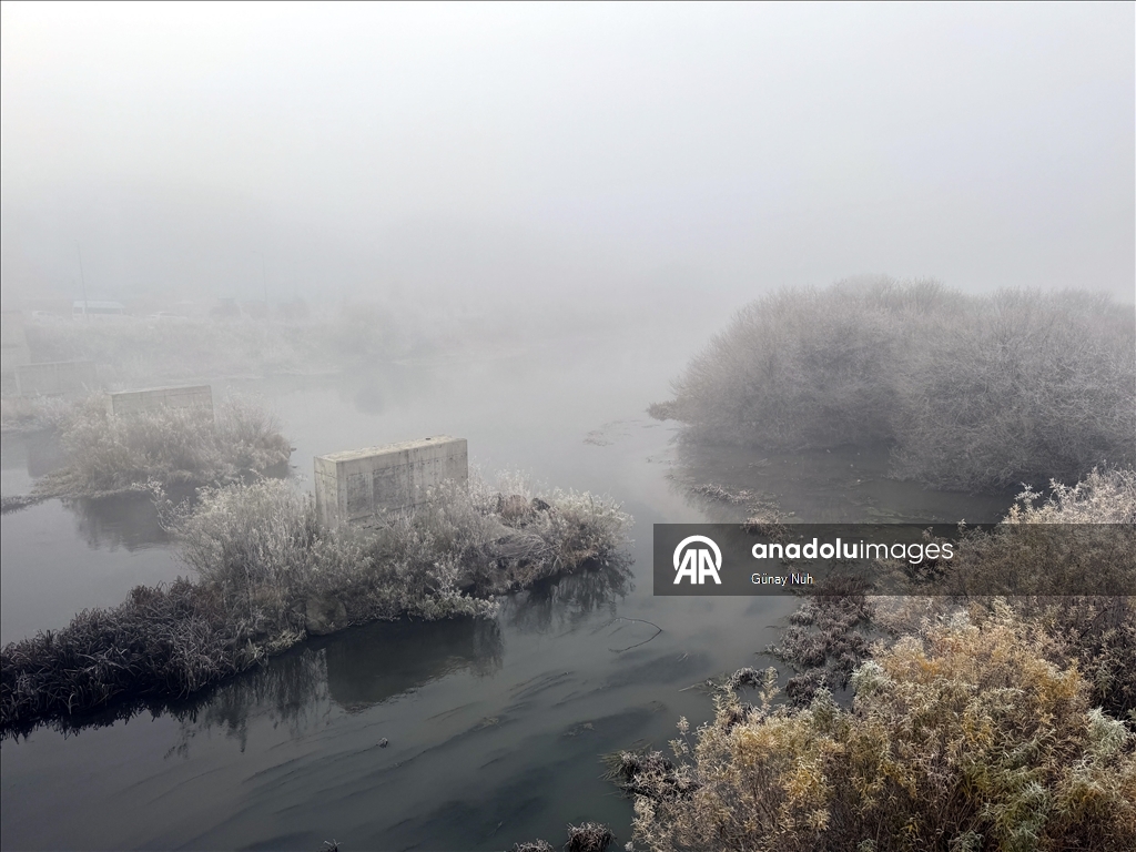 Ardahan'da soğuk hava ve sis 