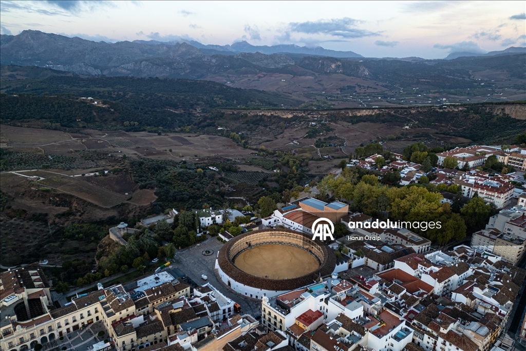 Pireya balkêş ya li Endulusê