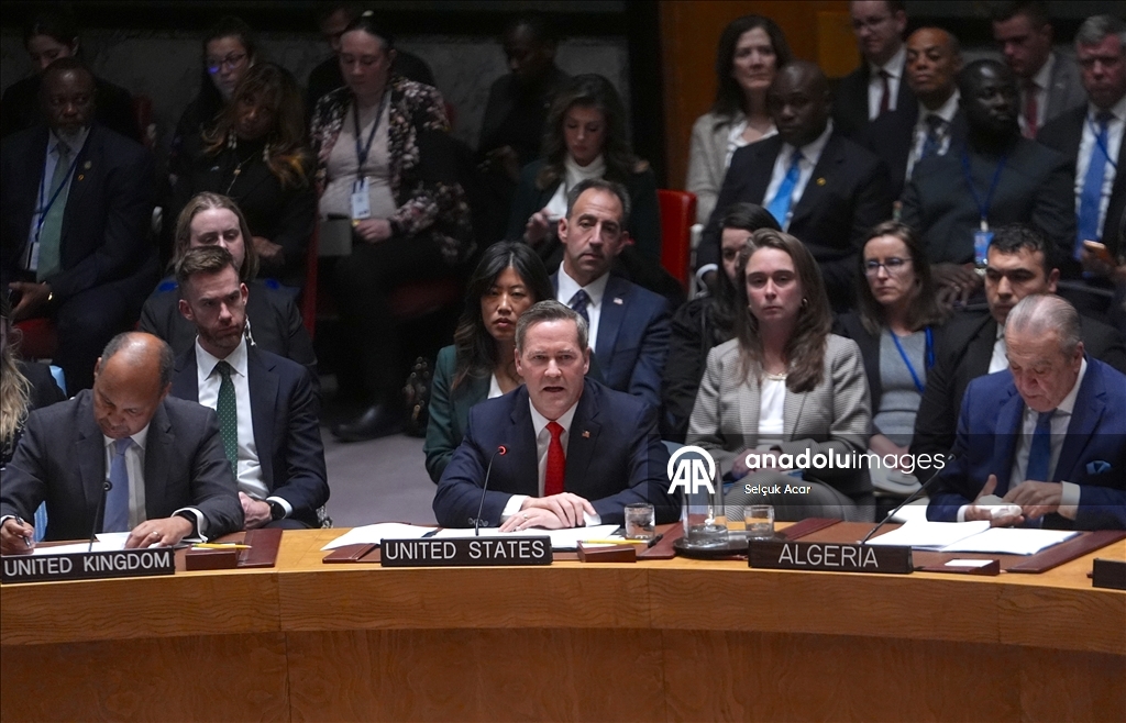 СБ ООН принял предложенную США резолюцию о создании «Международных сил стабилизации» в Газе