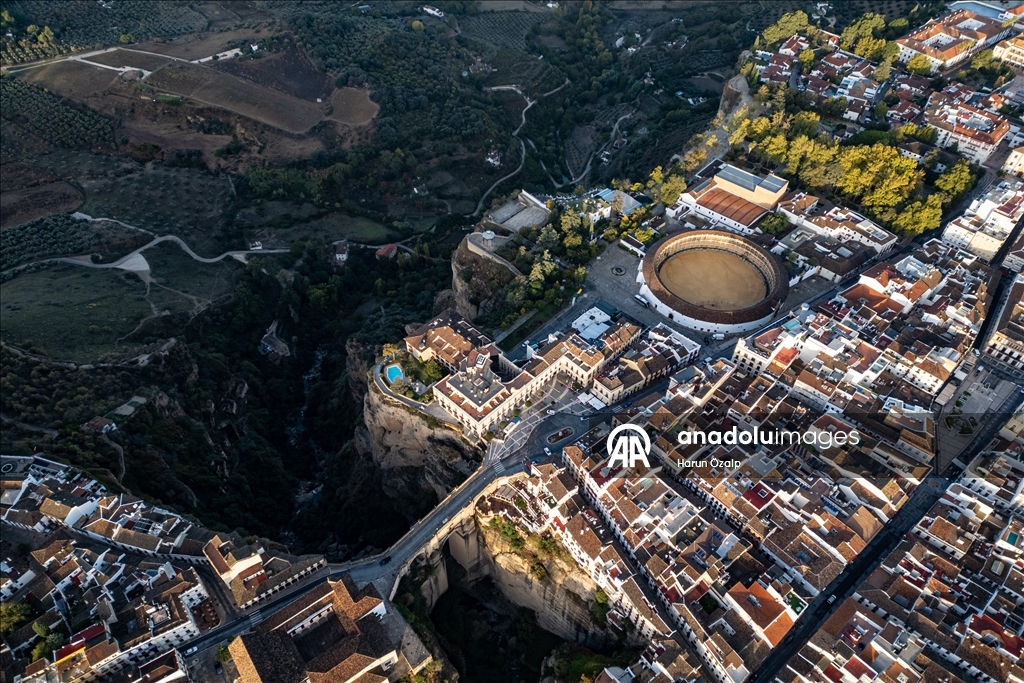 Pireya balkêş ya li Endulusê
