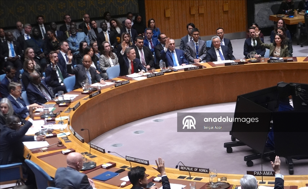 СБ ООН принял предложенную США резолюцию о создании «Международных сил стабилизации» в Газе