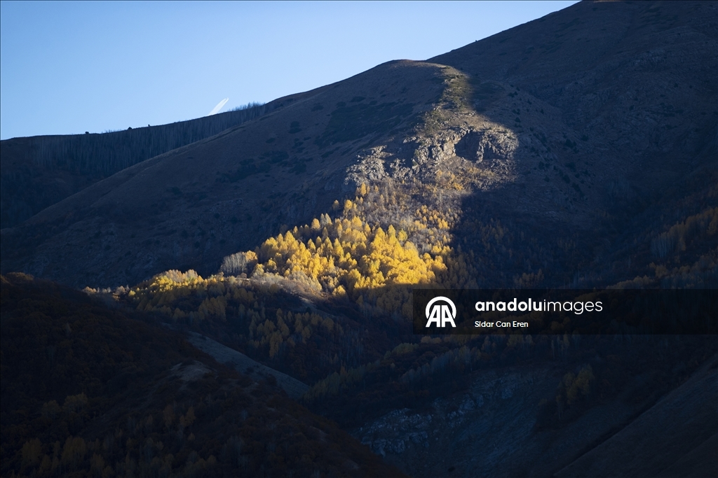 Лес Салордек привлекает любителей осенних пейзажей