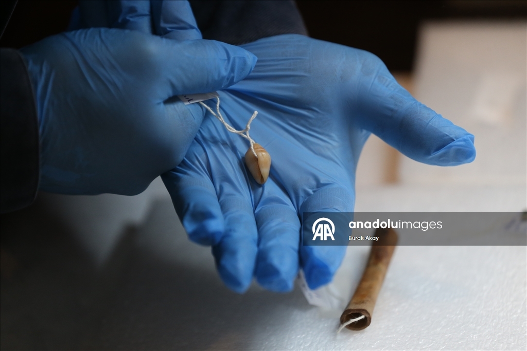 В Трое обнаружены артефакты возрастом 4500 лет