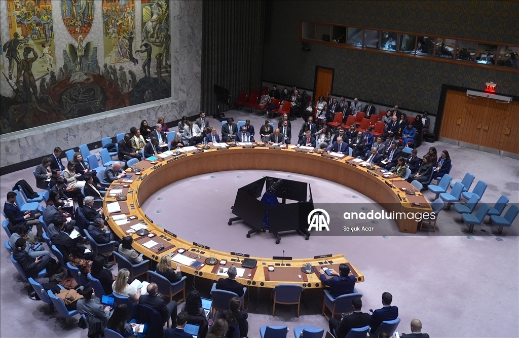 СБ ООН принял предложенную США резолюцию о создании «Международных сил стабилизации» в Газе