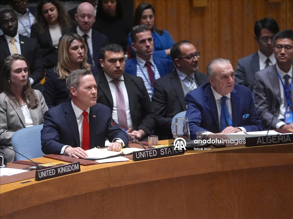 СБ ООН принял предложенную США резолюцию о создании «Международных сил стабилизации» в Газе