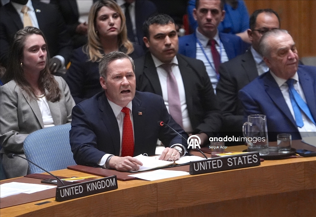 СБ ООН принял предложенную США резолюцию о создании «Международных сил стабилизации» в Газе