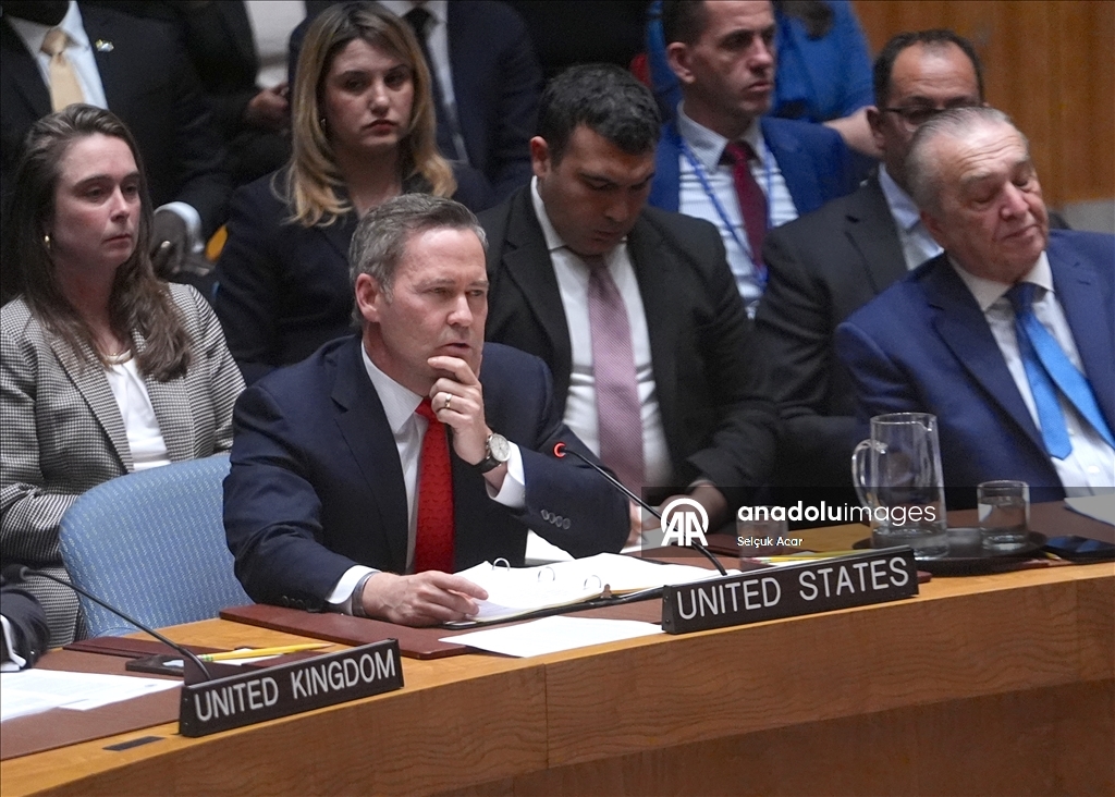 СБ ООН принял предложенную США резолюцию о создании «Международных сил стабилизации» в Газе