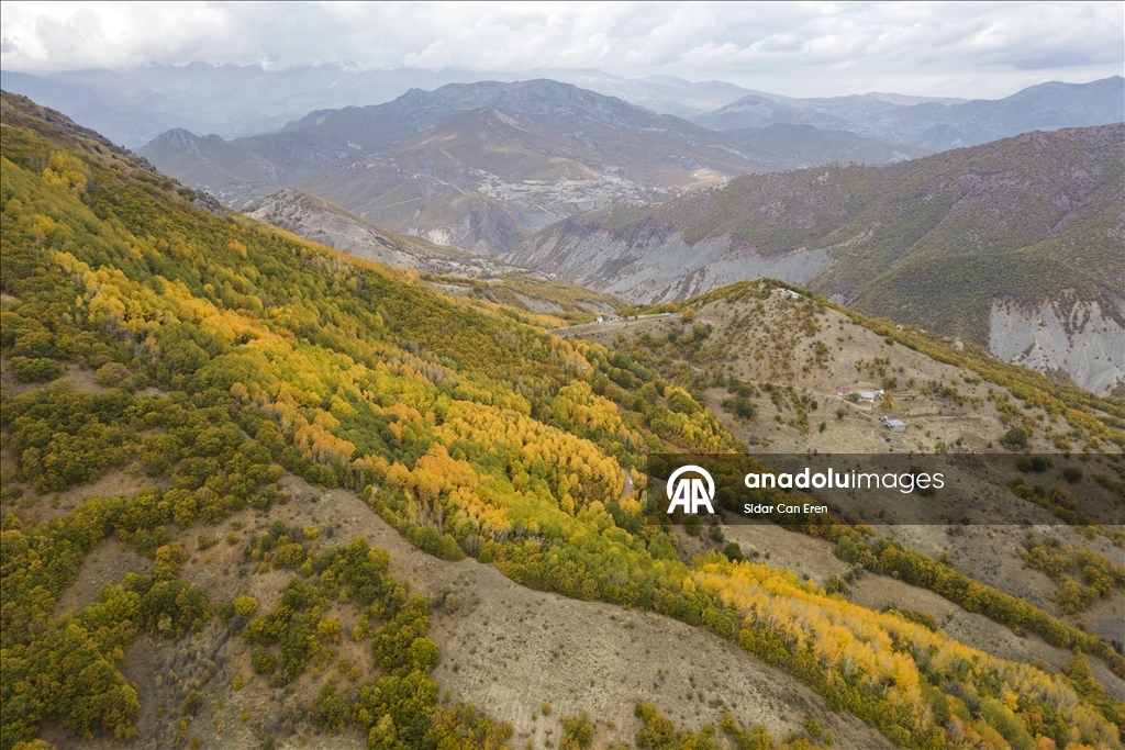 Лес Салордек привлекает любителей осенних пейзажей