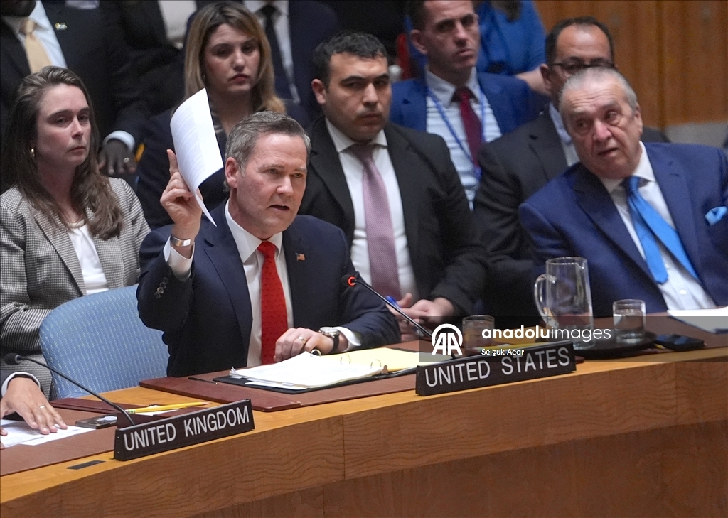 СБ ООН принял предложенную США резолюцию о создании «Международных сил стабилизации» в Газе