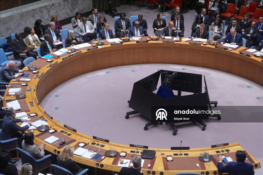 СБ ООН принял предложенную США резолюцию о создании «Международных сил стабилизации» в Газе