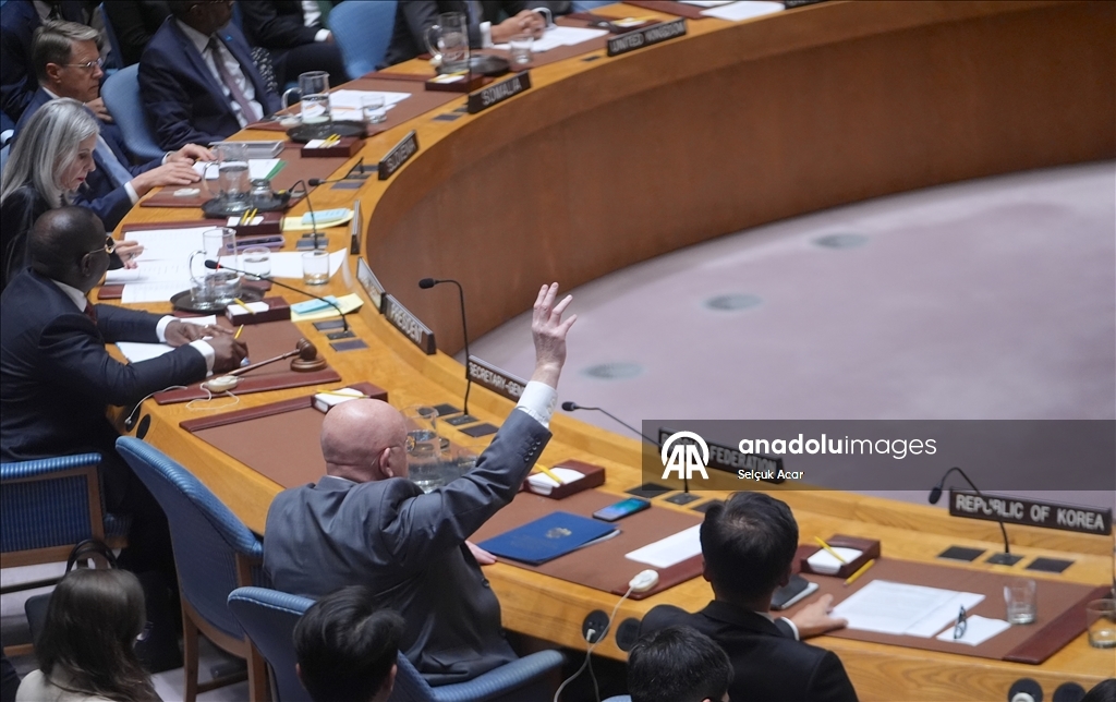 СБ ООН принял предложенную США резолюцию о создании «Международных сил стабилизации» в Газе