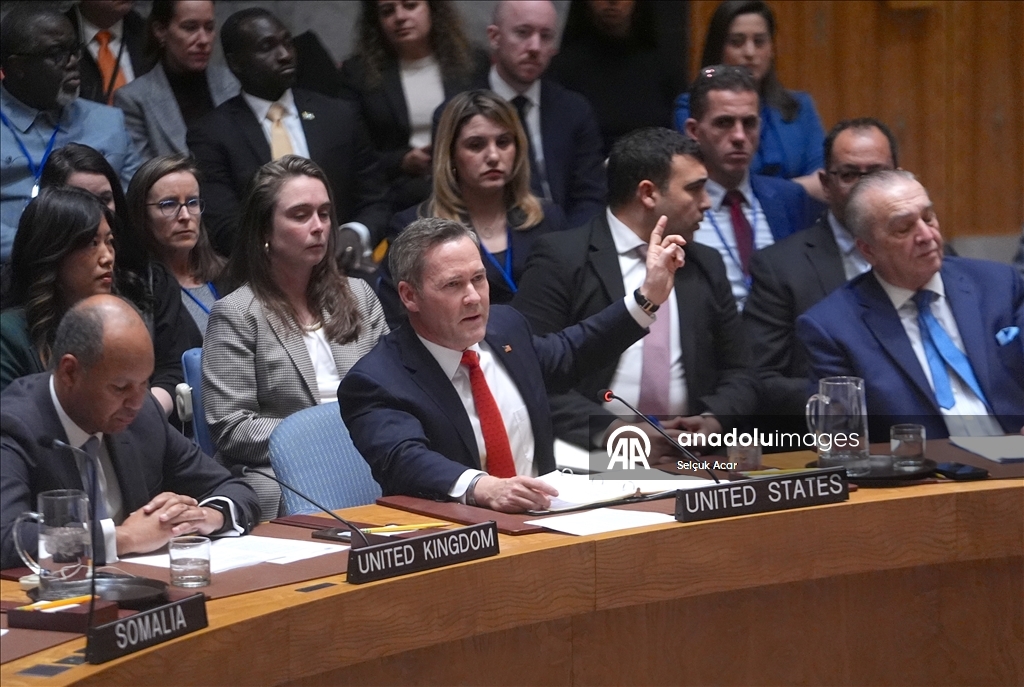 СБ ООН принял предложенную США резолюцию о создании «Международных сил стабилизации» в Газе