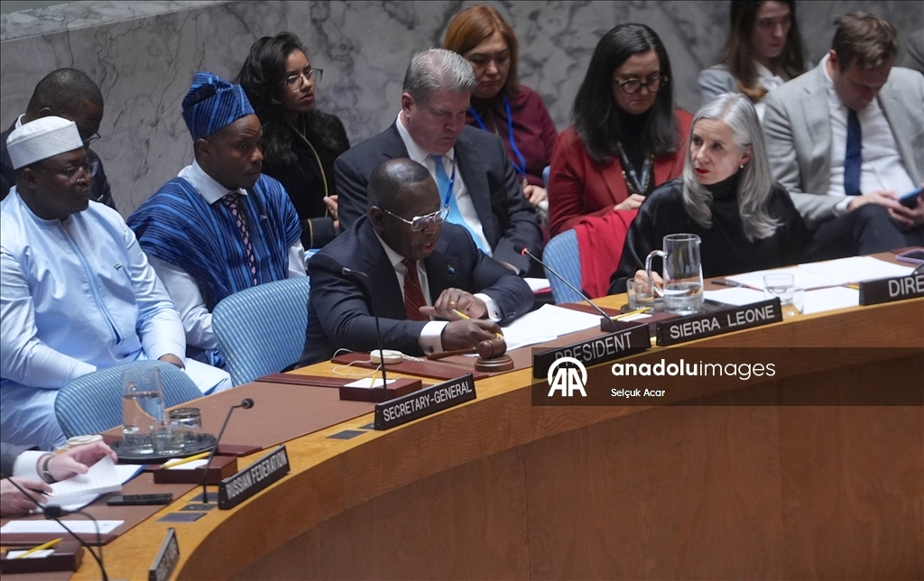 СБ ООН принял предложенную США резолюцию о создании «Международных сил стабилизации» в Газе