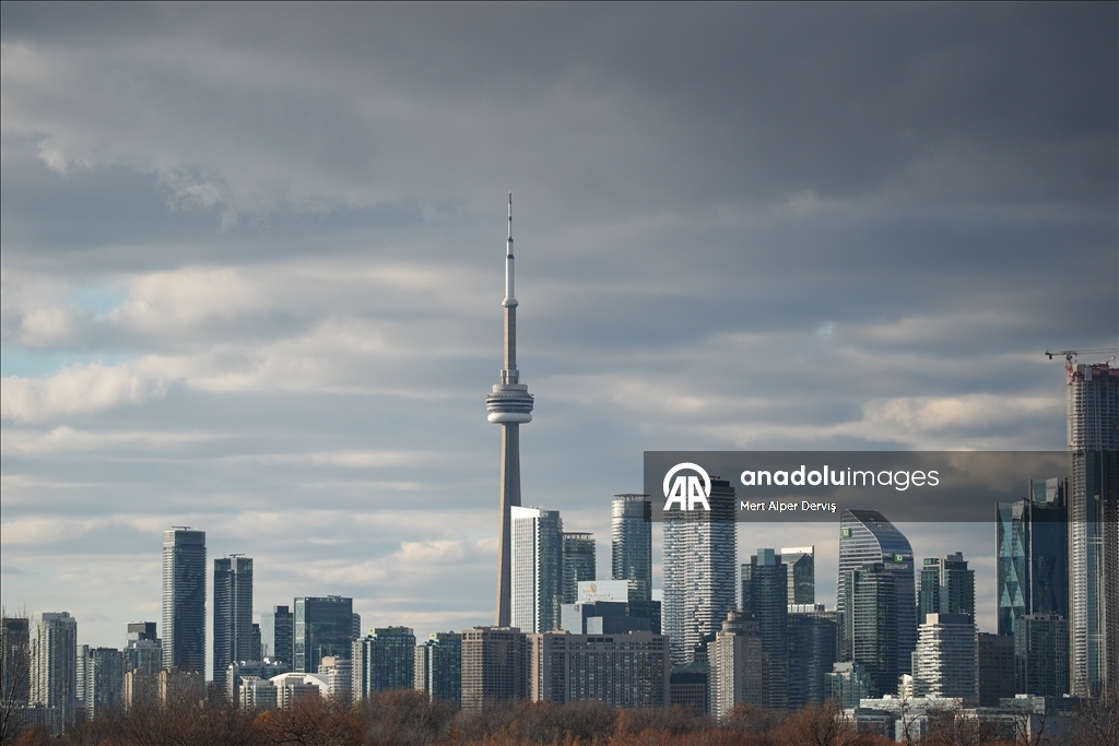 Kanada'nın Tommy Thompson Parkı’ndaki trompet kuğuları