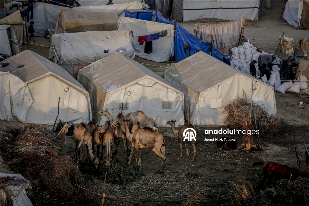 Gazze’de yerinden edilmiş Filistinliler, yıpranmış çadırlarda zorlu hava şartlarıyla mücadele ediyor