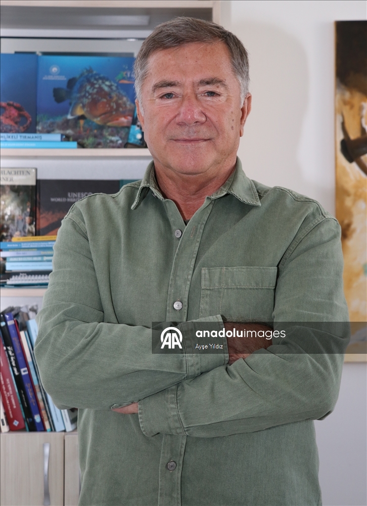 Открытие у берегов Фетхие взволновало археологов