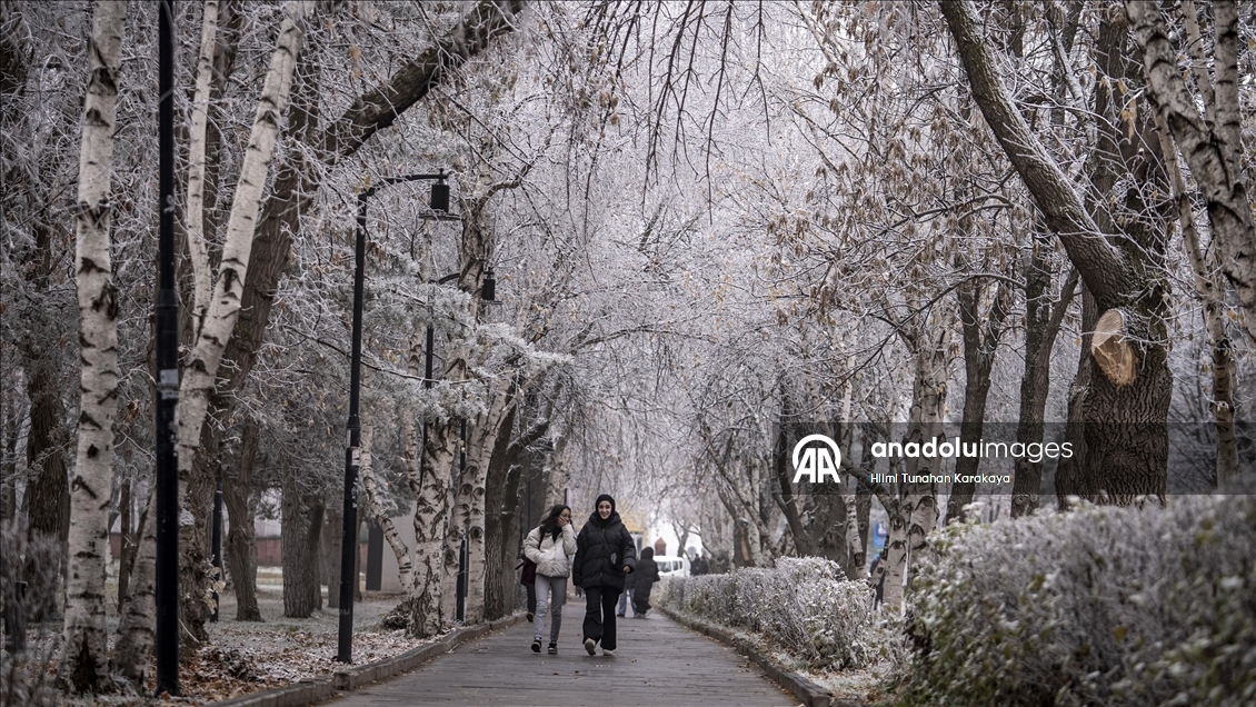 Erzurum'da soğuk hava