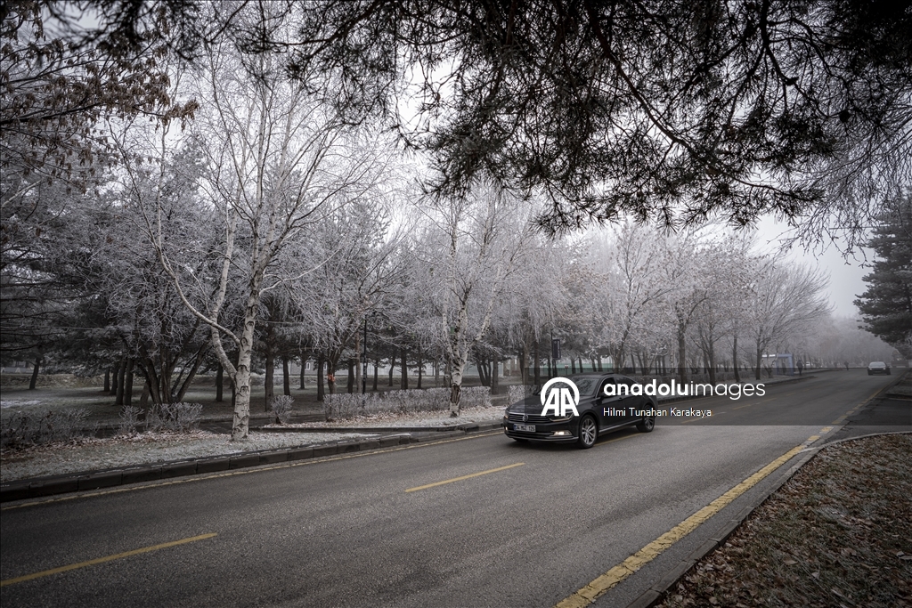 Erzurum'da soğuk hava