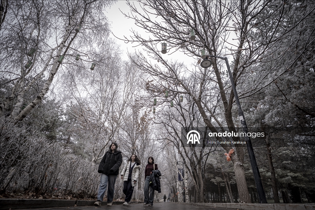 Erzurum'da soğuk hava