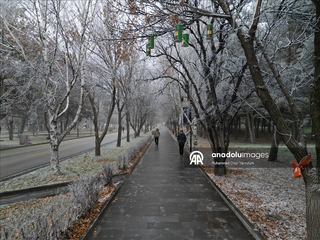 Erzurum'da soğuk hava