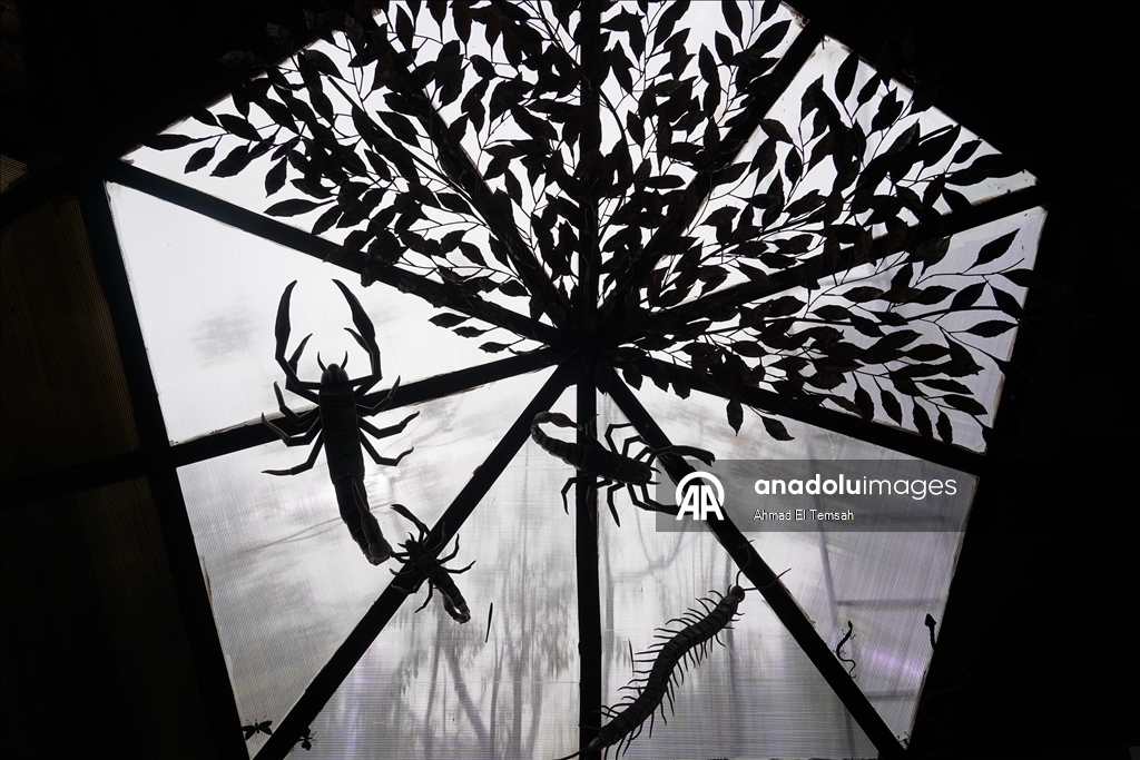 Lübnanlı sanatçı Nassar, şarapnel ve savaş kalıntılarını "barış mesajı taşıyan" eserlere dönüştürüyor