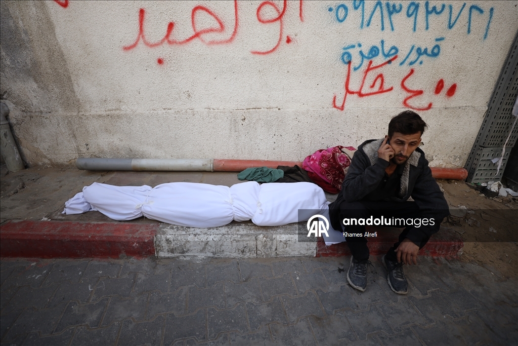 Число погибших в результате израильских атак на Газу возросло до 69 513 человек