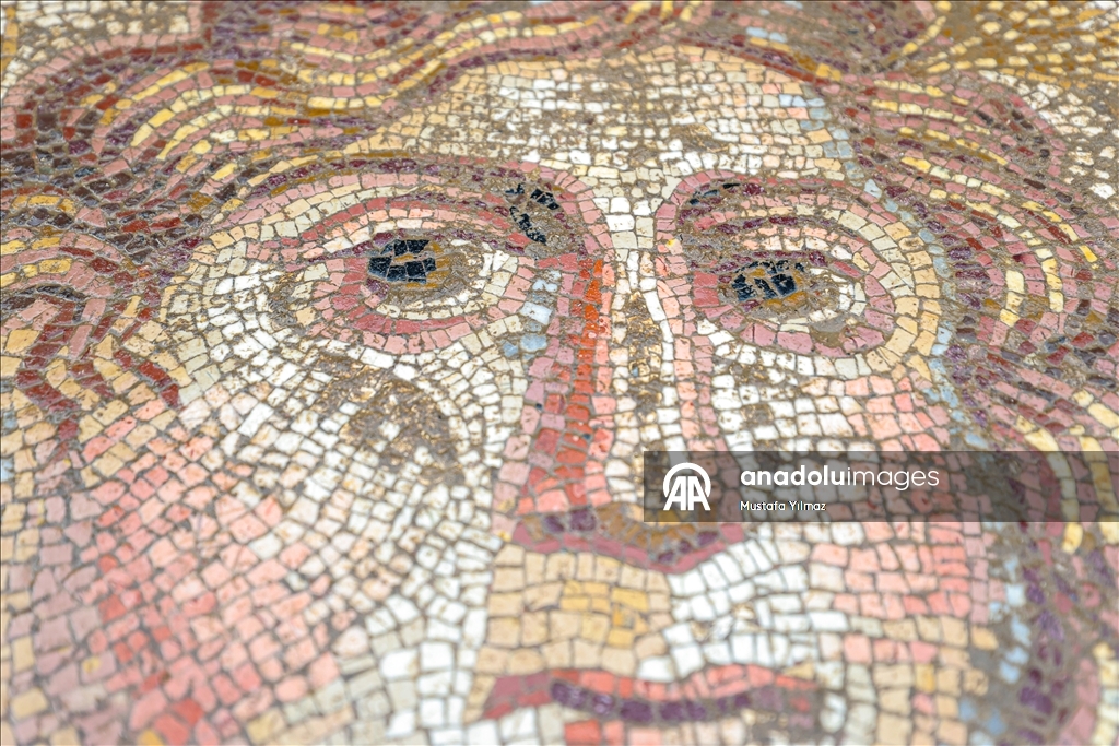 New section of ancient İznik mosaic revealed in Bursa