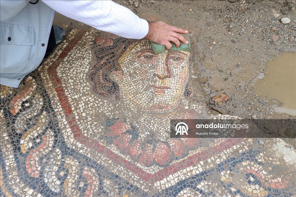 New section of ancient İznik mosaic revealed in Bursa