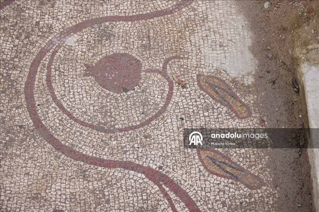 New section of ancient İznik mosaic revealed in Bursa