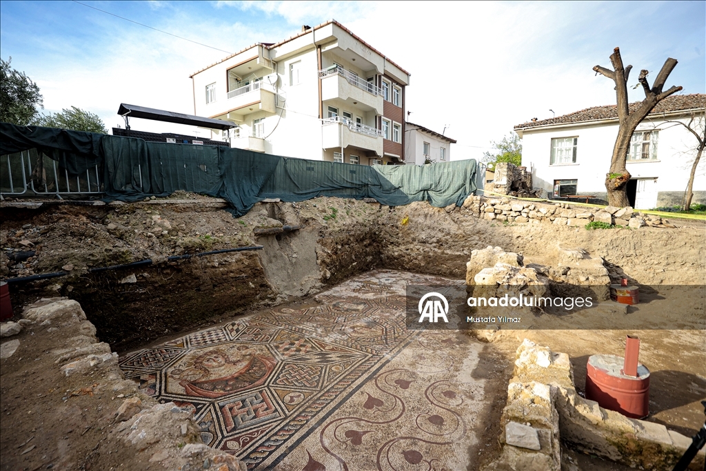 New section of ancient İznik mosaic revealed in Bursa