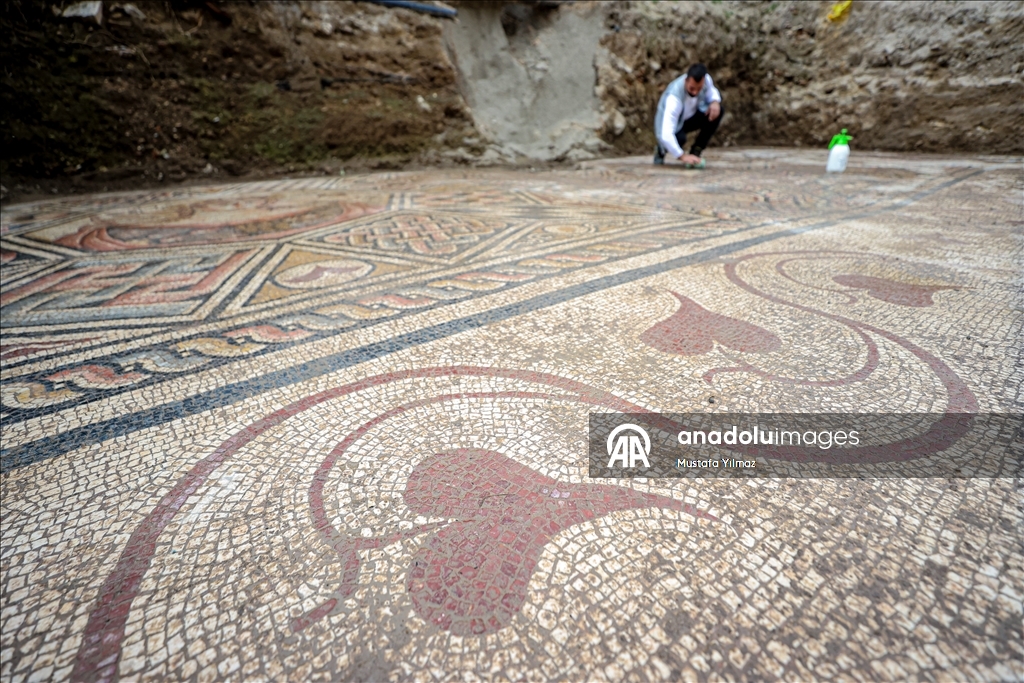 New section of ancient İznik mosaic revealed in Bursa