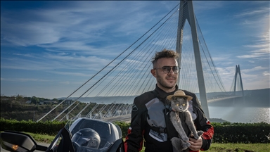 Motosikletli kedi “Gofret” İstanbul sokaklarında ilgi odağı oldu