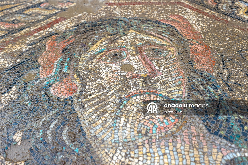 В турецком Изнике нашли красочную мозаику III века