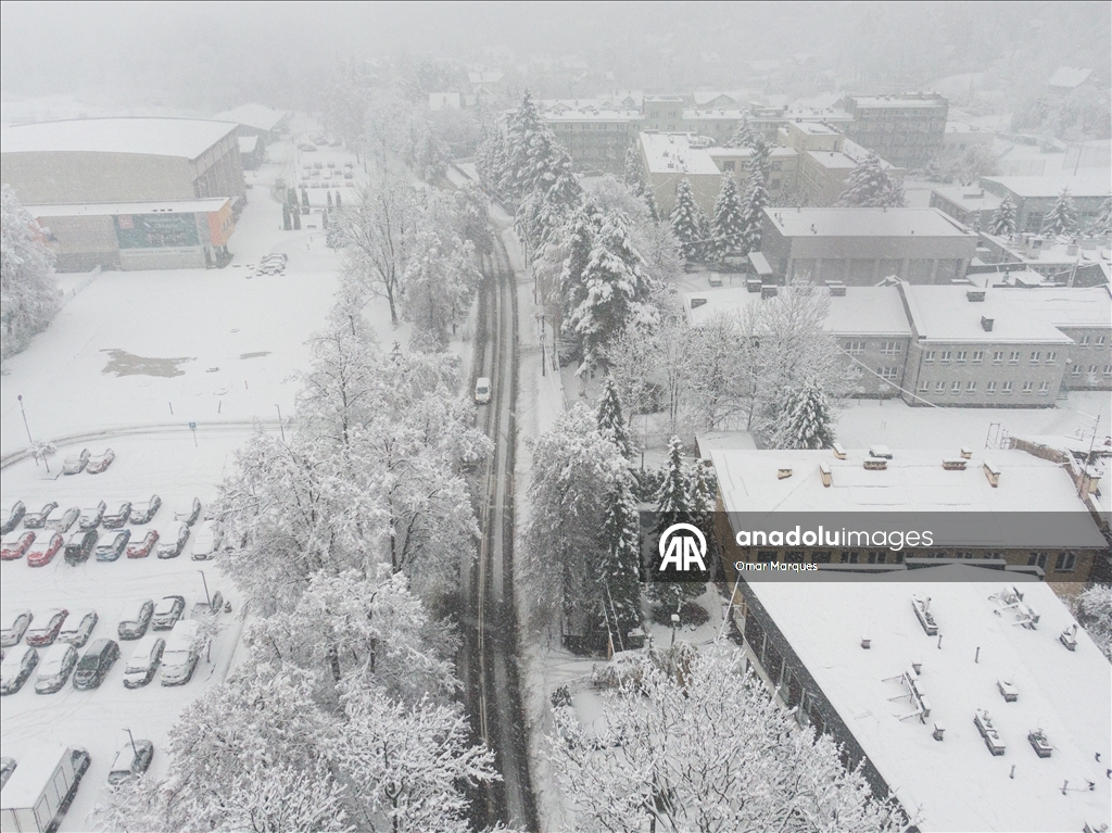 Южные регионы Польши засыпало снегом