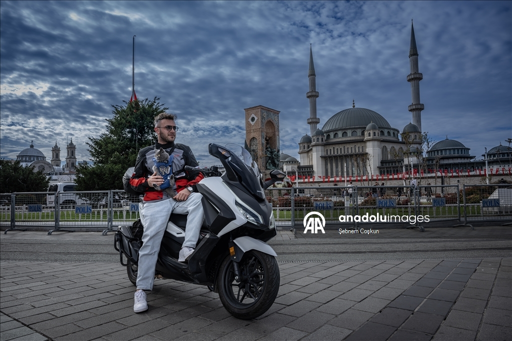 На улицах Стамбула появился кот-мотоциклист