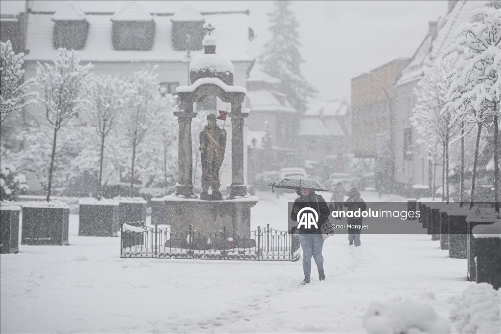 Южные регионы Польши засыпало снегом