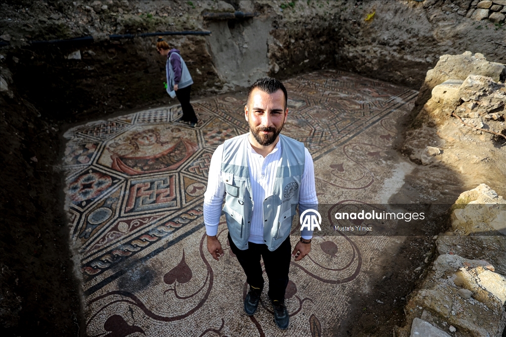 В турецком Изнике нашли красочную мозаику III века