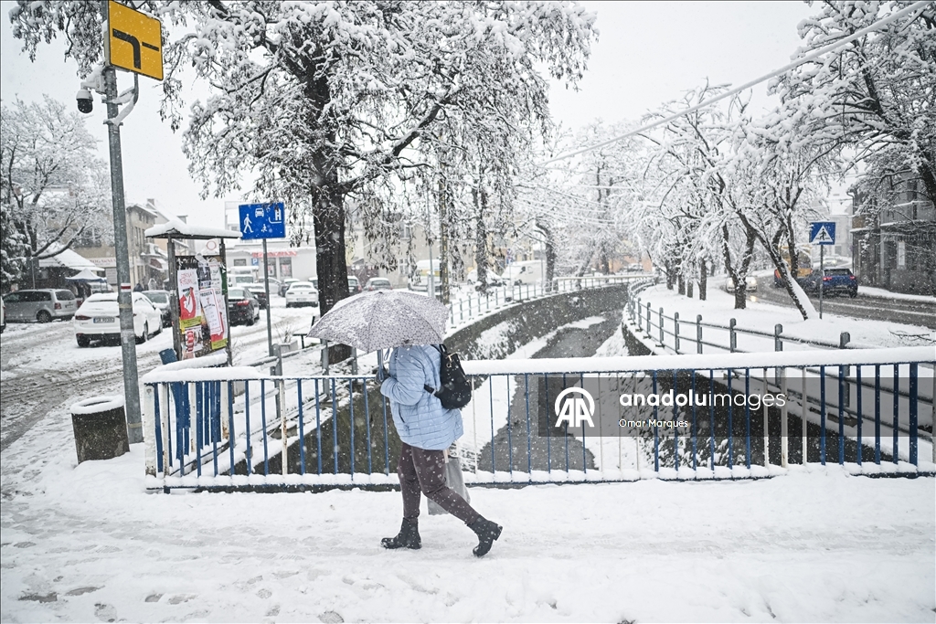 Южные регионы Польши засыпало снегом