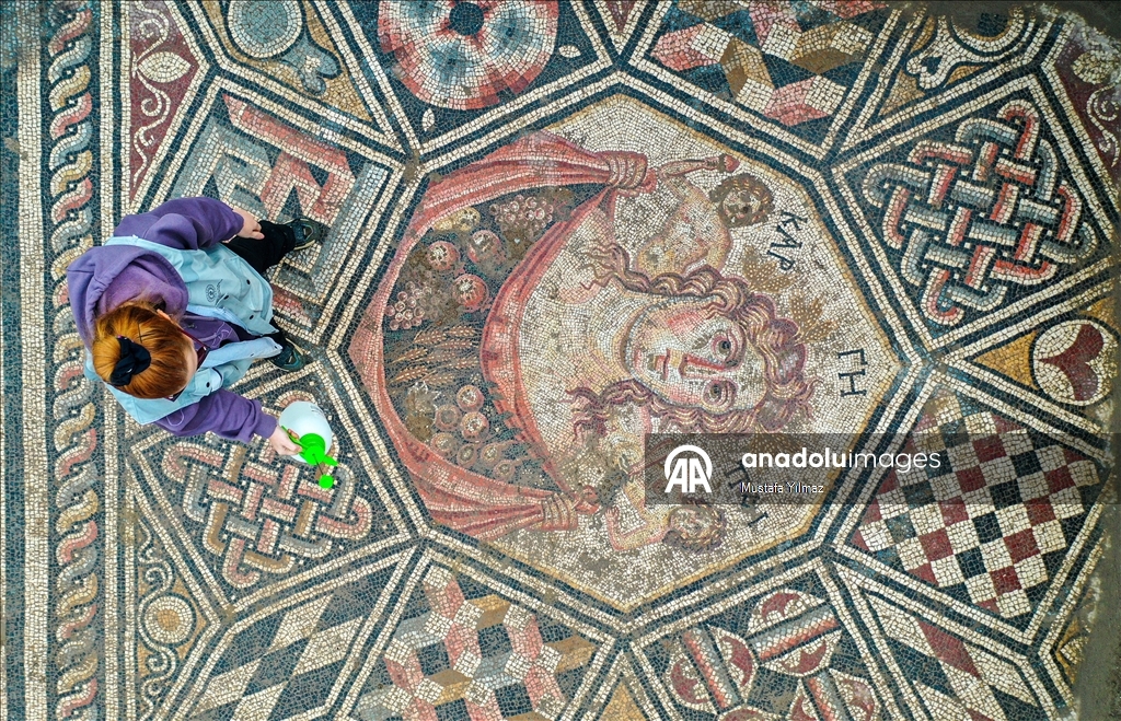 В турецком Изнике нашли красочную мозаику III века