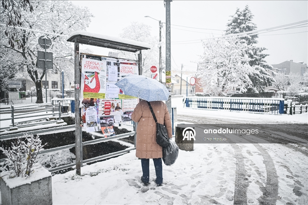 Южные регионы Польши засыпало снегом