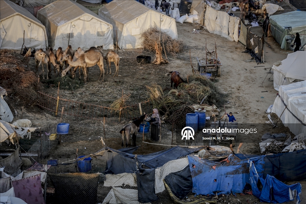 Жители Газы вынуждены бороться с непогодой в изношенных палатках