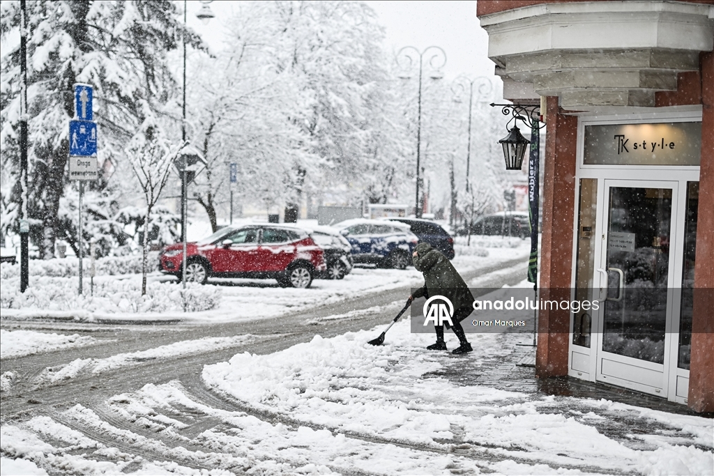 Южные регионы Польши засыпало снегом