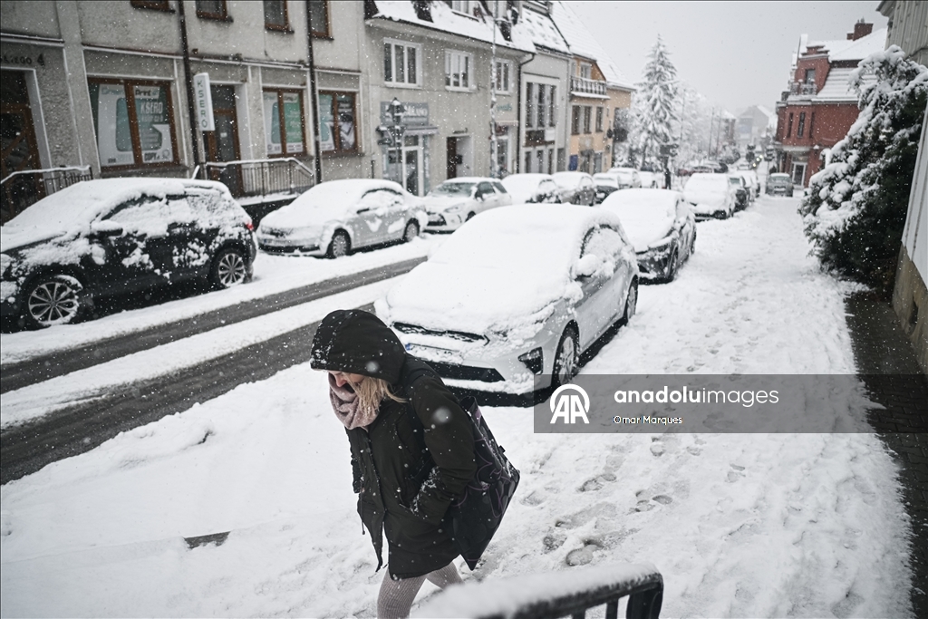 Южные регионы Польши засыпало снегом