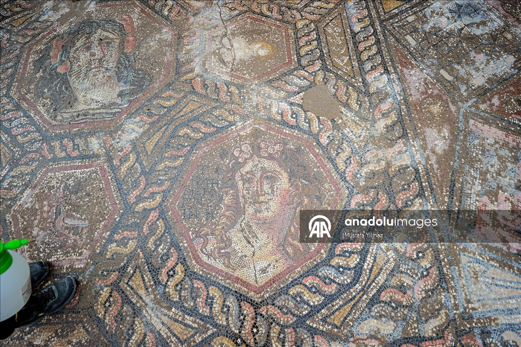 В турецком Изнике нашли красочную мозаику III века